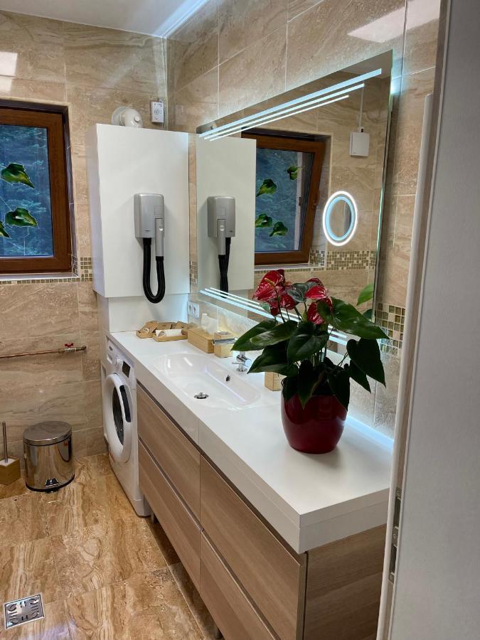 Hrodberht Ski Apartment Buşteni Zewnętrze zdjęcie