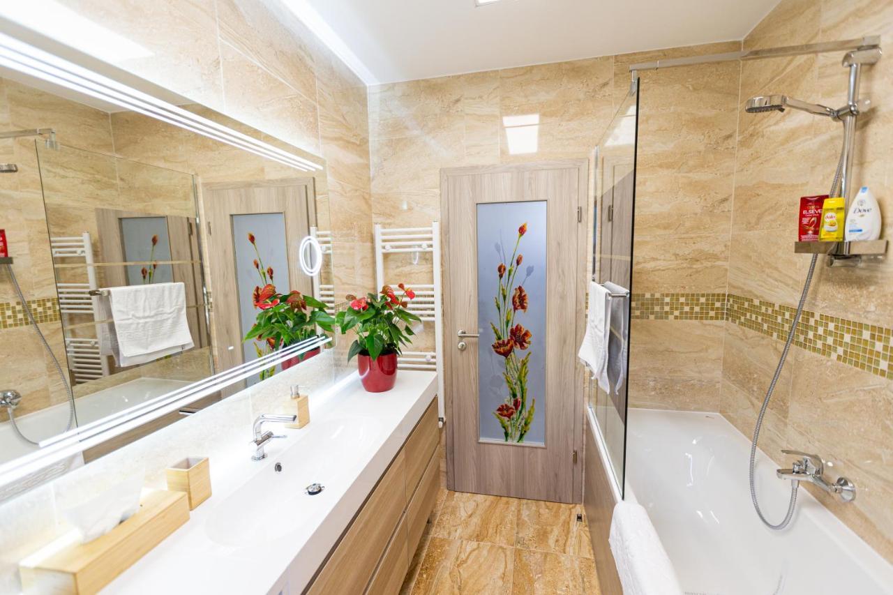 Hrodberht Ski Apartment Buşteni Zewnętrze zdjęcie