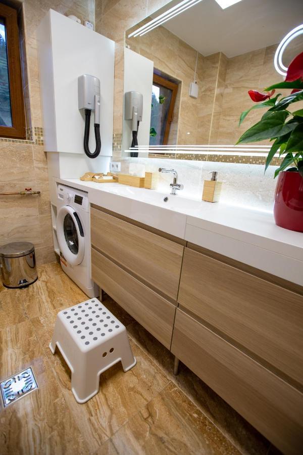 Hrodberht Ski Apartment Buşteni Zewnętrze zdjęcie
