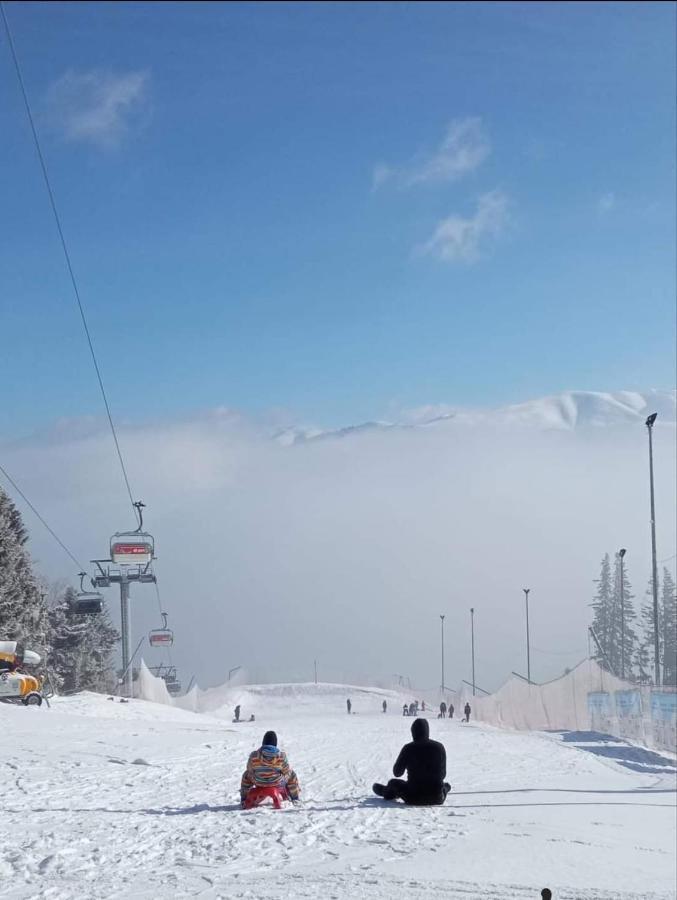 Hrodberht Ski Apartment Buşteni Zewnętrze zdjęcie